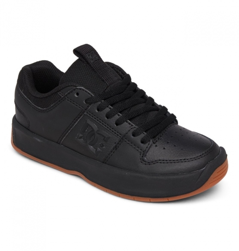 Chaussure Skate DC Lynx Zero Noir Enfant | ZOL-0094862