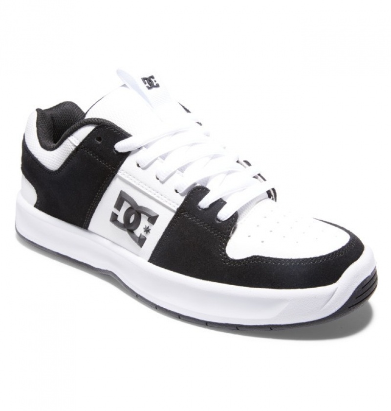 Basket DC Lynx Zero Blanche Noir Homme | THM-0223599