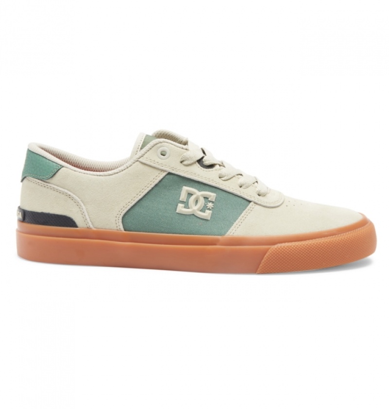 Chaussure Skate DC Teknic S Marron Vert Homme | ISX-4680696