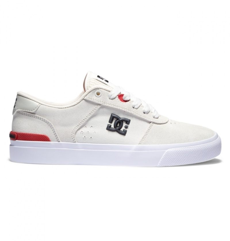 Chaussure Skate DC Teknic S Blanche Homme | QTN-4998397