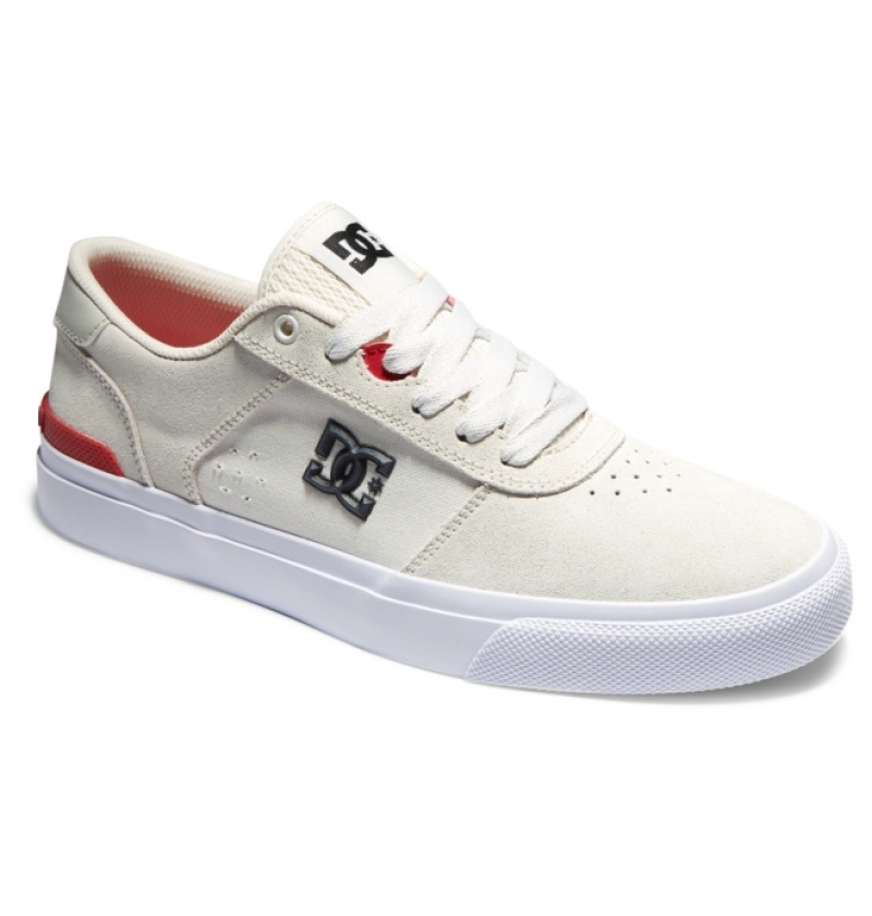 Chaussure Skate DC Teknic S Blanche Homme | QTN-4998397