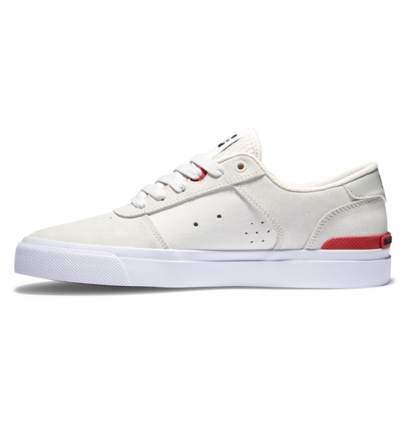 Chaussure Skate DC Teknic S Blanche Homme | QTN-4998397