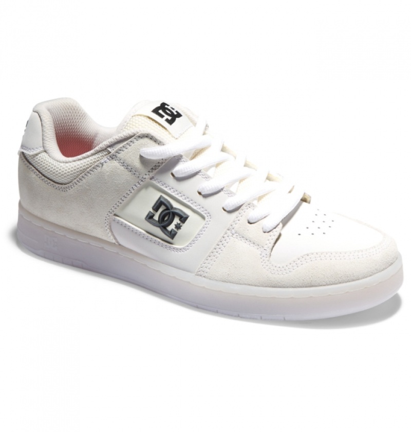 Chaussure Skate DC Manteca 4 Grise Homme | KYO-3256697