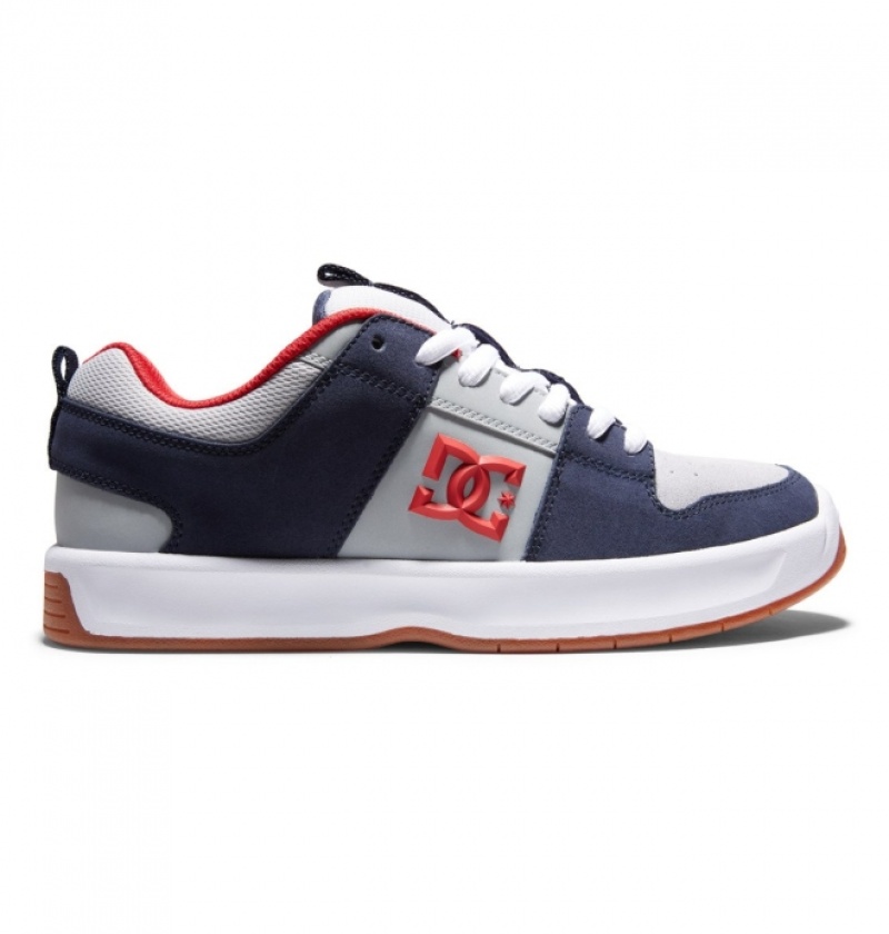 Chaussure Skate DC Lynx Zero Jahmir Brown Bleu Marine Grise Homme | RPD-2805664