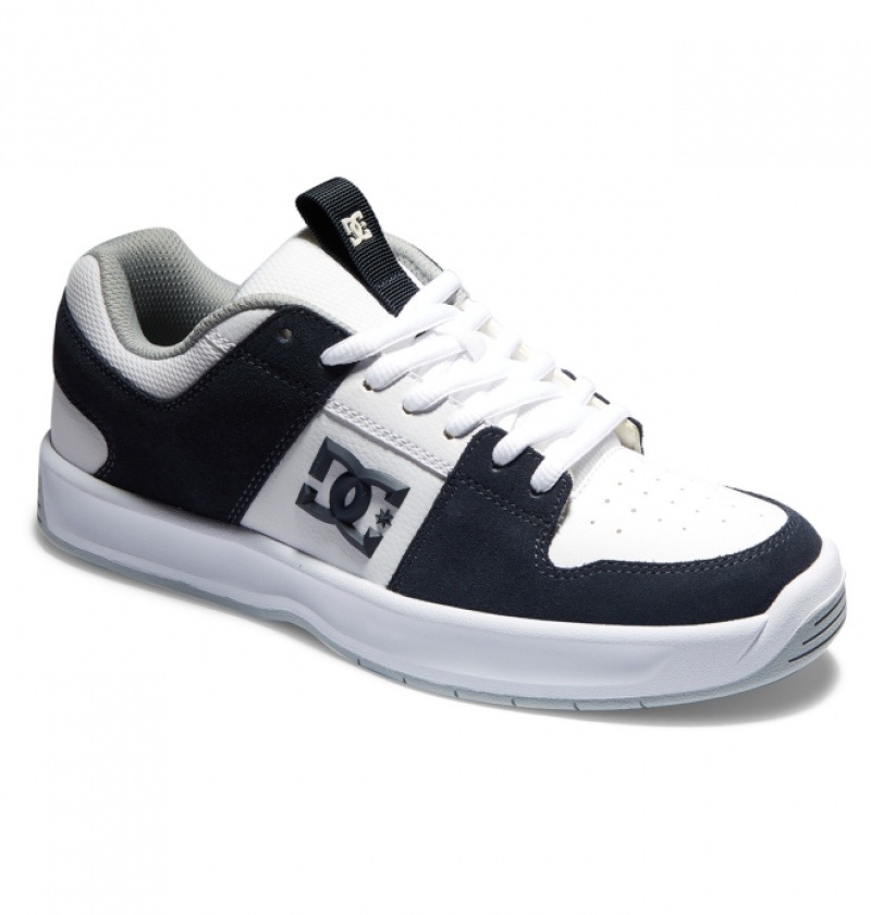 Chaussure Skate DC Lynx Zero Bleu Marine Grise Homme | RQJ-8224587