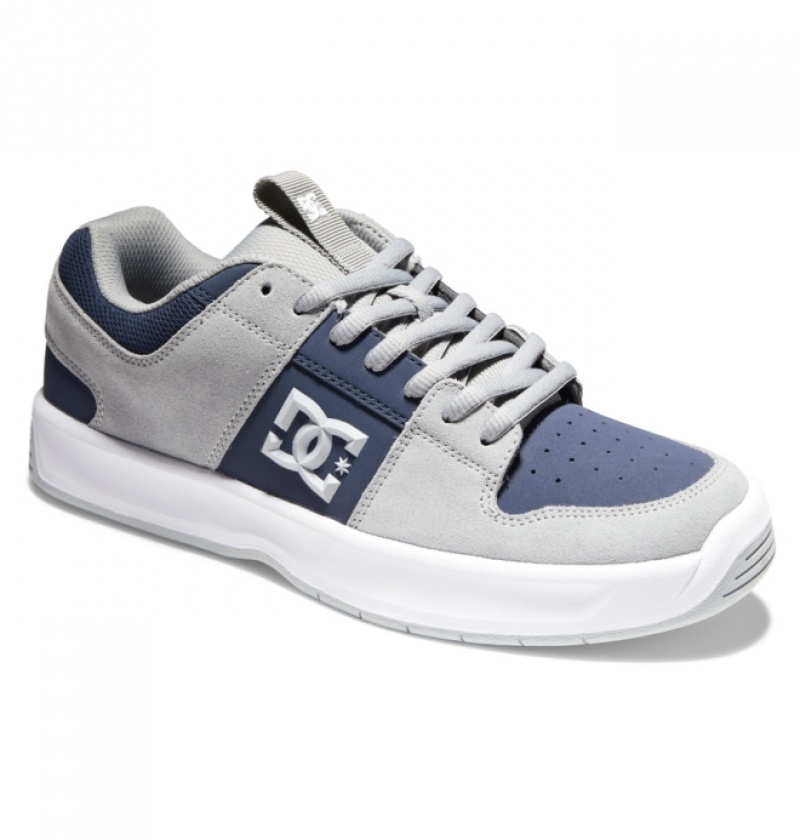 Chaussure Skate DC Lynx Zero Bleu Marine Grise Homme | ALJ-2462809