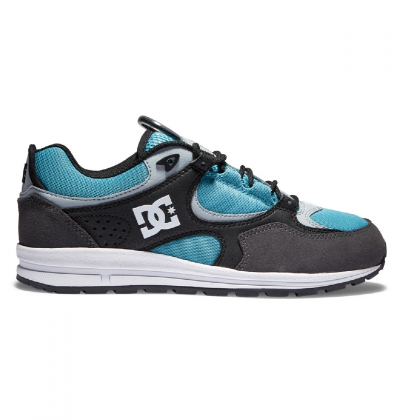 Chaussure Skate DC Kalis Lite Noir Grise Bleu Homme | CWL-0976054