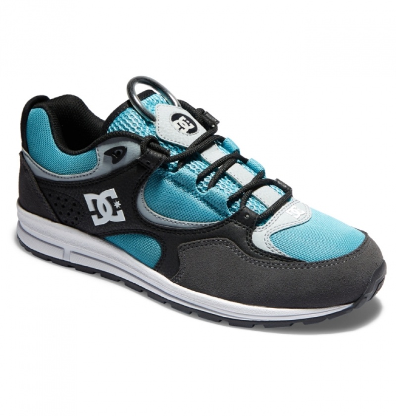 Chaussure Skate DC Kalis Lite Noir Grise Bleu Homme | CWL-0976054