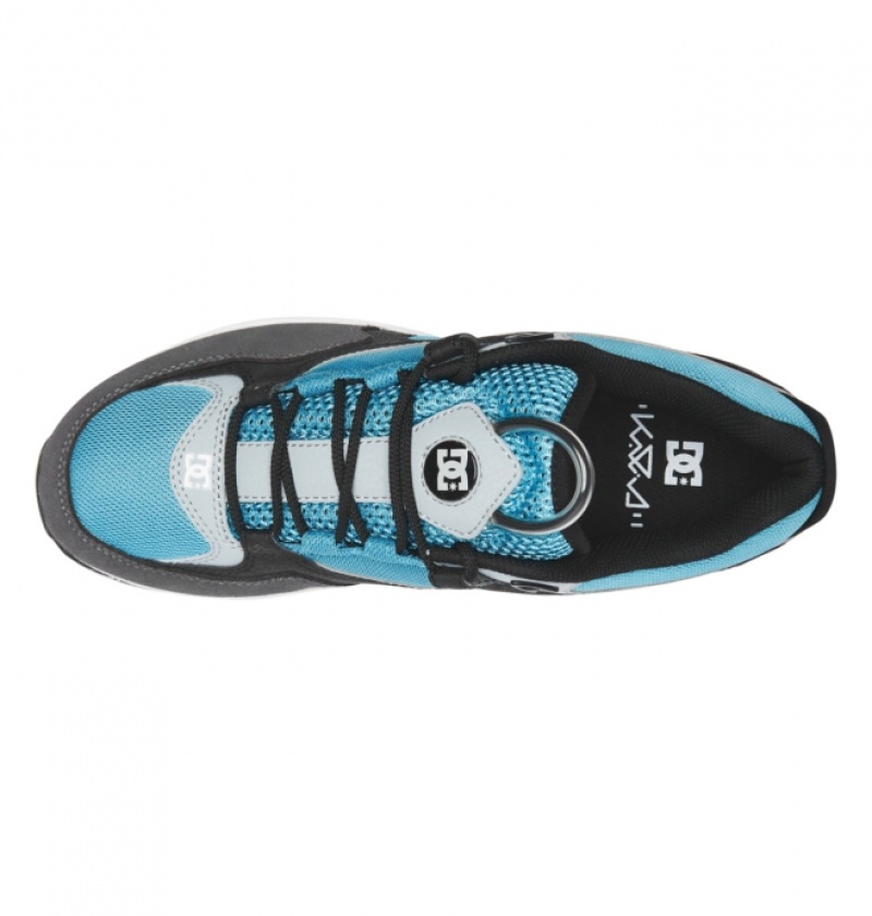 Chaussure Skate DC Kalis Lite Noir Grise Bleu Homme | CWL-0976054