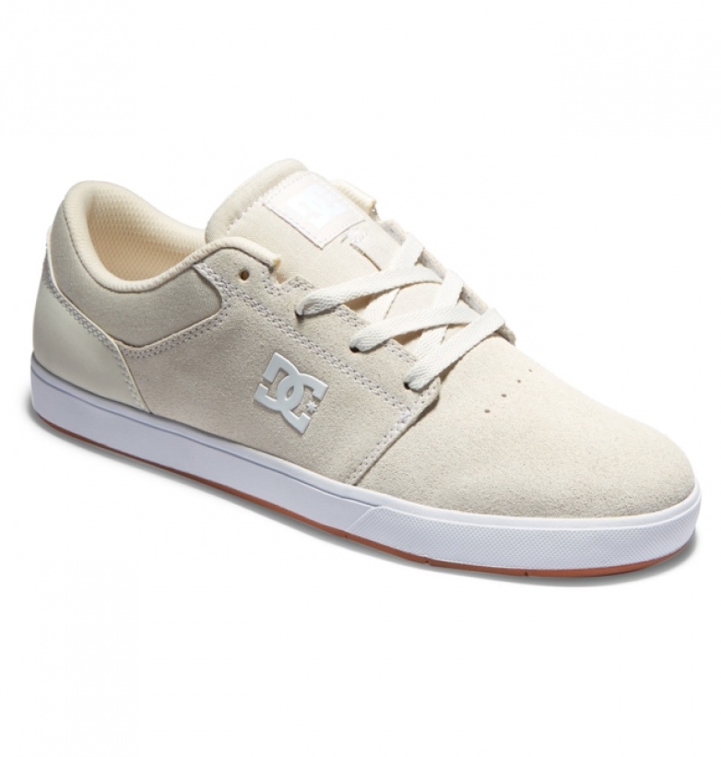 Chaussure Skate DC Crisis 2 Blanche Homme | USI-0896320