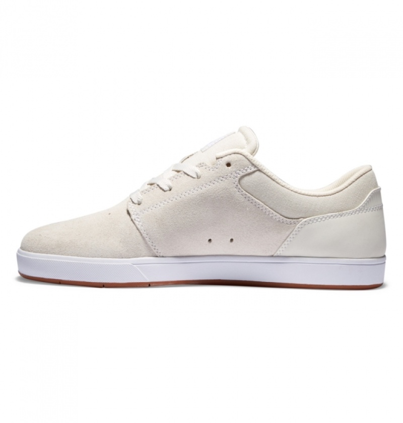 Chaussure Skate DC Crisis 2 Blanche Homme | USI-0896320