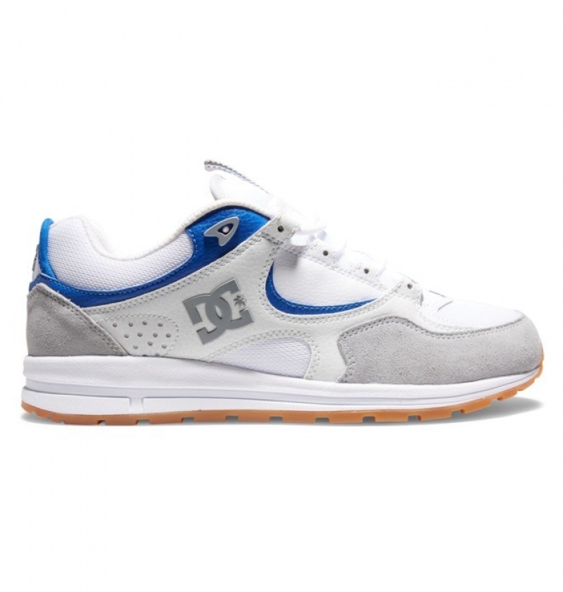 Chaussure Skate DC Kalis Lite Grise Bleu Blanche Homme | VHG-6118757