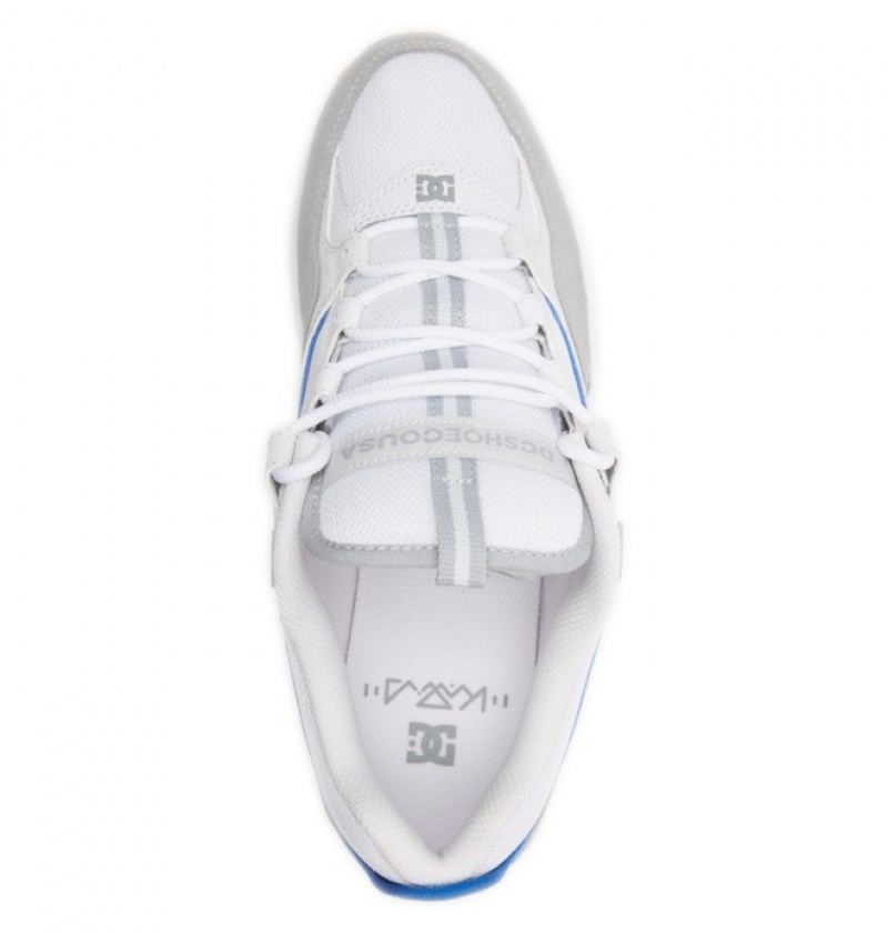 Chaussure Skate DC Kalis Lite Grise Bleu Blanche Homme | VHG-6118757