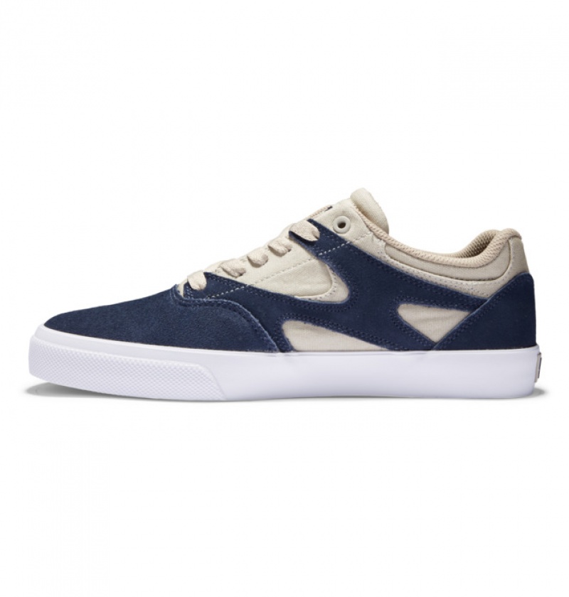 Chaussure Skate DC Kalis Vulc Bleu Marine Kaki Homme | MCW-0892311