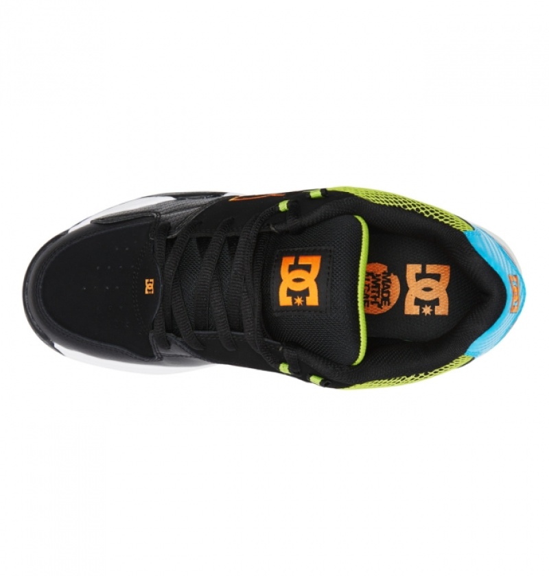 Basket DC Versatile Noir Bleu Vert Homme | OCO-8006048