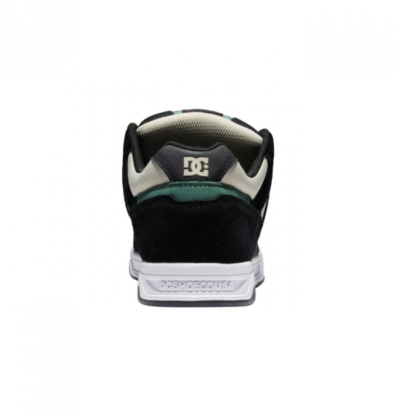 Basket DC Stag Marron Vert Homme | TZE-9204119