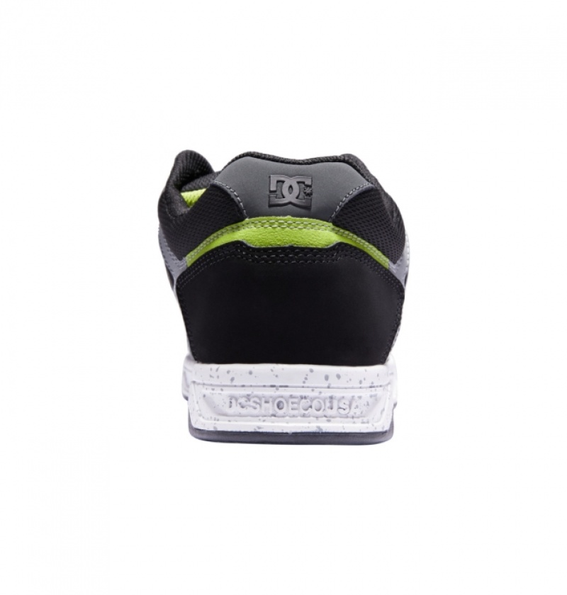 Basket DC Stag Noir Grise Vert Homme | DFG-7858903