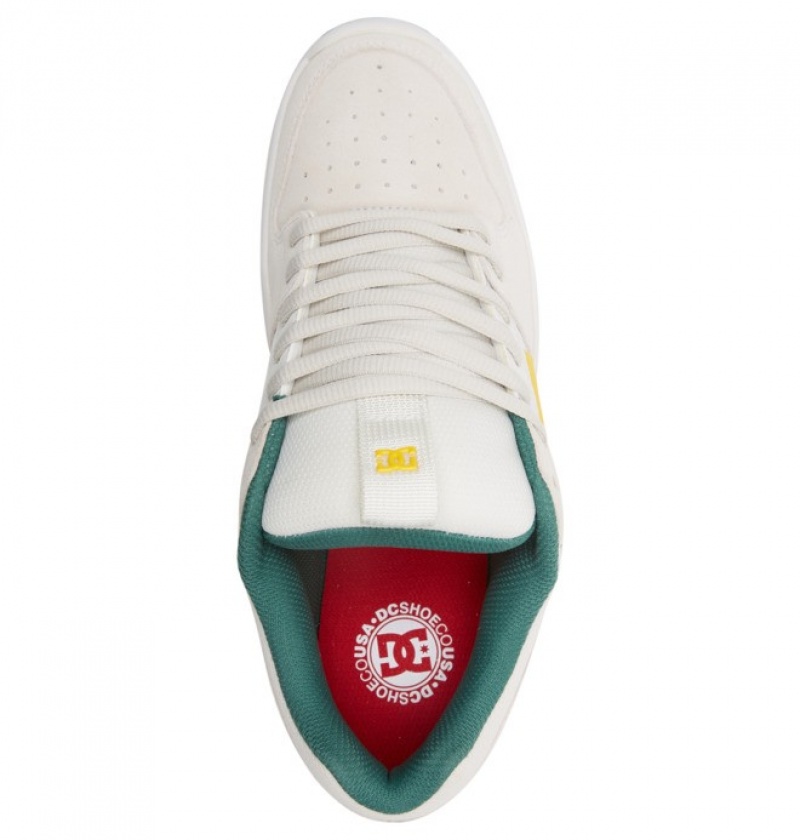 Basket DC Lynx Zero Skate Grise Clair Homme | PQF-1247065