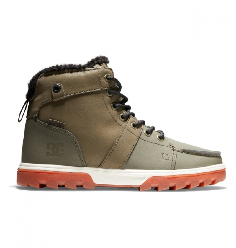 Botte Hiver DC Woodland Vert Olive Clair Homme | JET-4898110