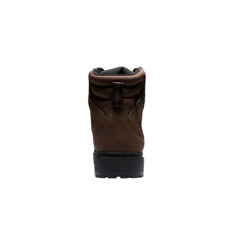 Botte Hiver DC Peary Dentelle Chocolat Foncé Homme | AMG-3708677