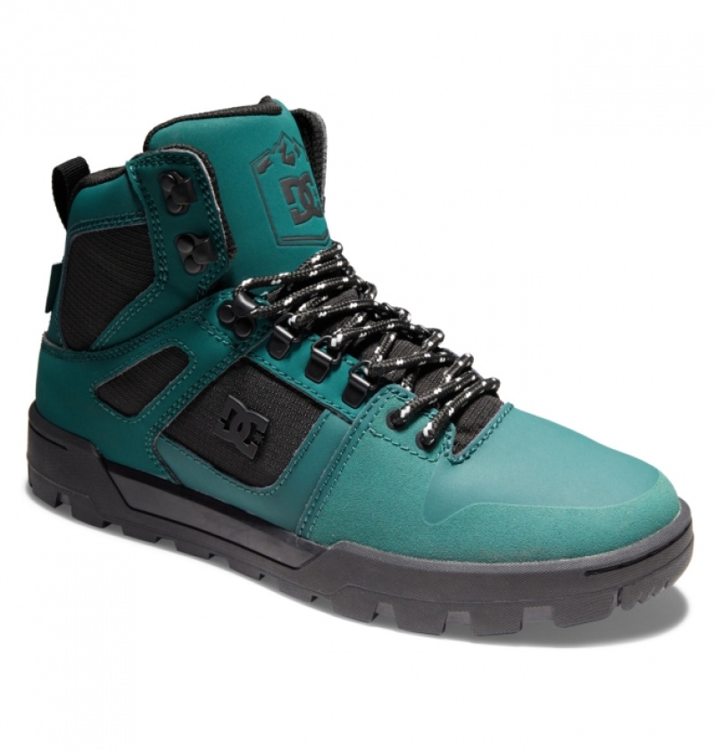 Botte Hiver DC Pure High-Top D'eau-Resistant Vert Foncé Homme | KFH-3588624